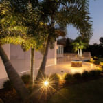 Illuminating St. Petersburg: LD Lighting's Landscape Solutions